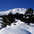 047_versante-nord_anno-1993