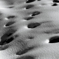 049_forme_anno-1997