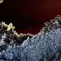 090_ingrottamento_anno-2000