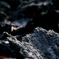 101_forme-laviche_anno-1993