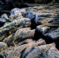 102_lava-a-corde_anno-2000