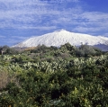 023_fichera-g-ppe_etna