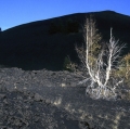 035_fichera-g-ppe_etna