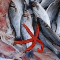 018_mongioi-santo-_-pescheria-di-catania