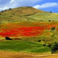 040_palazzo-nunziato_sicilia_1