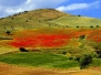 Nunziato Palazzo - Sicilia: terra di luce e di colori 