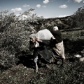 0034_nzuliddu-di-simone-aprile-e-giuseppe-la-rosa