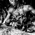 014_grappolini-paolo_tribe