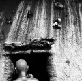 022_grappolini-paolo_tribe