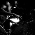 031_grappolini-paolo_tribe