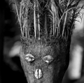 038_grappolini-paolo_tribe