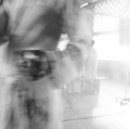 039_grappolini-paolo_tribe