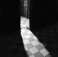 0009_pagni-paolo