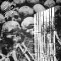 0015_pagni-paolo