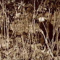 urso-pietro-39