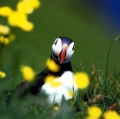 busi-riccardo_natura-mundi-5