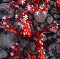 cava-e-chiarenza_terrae-fragmina-15