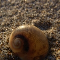 cava-e-chiarenza_terrae-fragmina-16
