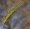 cava-e-chiarenza_terrae-fragmina-19