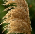 cava-e-chiarenza_terrae-fragmina-4