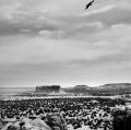 0005_p1180960