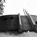0013_lo_americanine-011