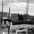 0022_lo_p1210886