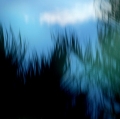 0010_consiglio-gianfranco