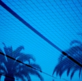 0011_consiglio-gianfranco