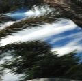 0014_crisafi-carmelo_047_1