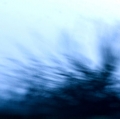0030_sidari-daniela_0086