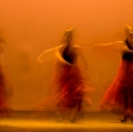 foto-di-salvo-cafarelli-e-giovanna-di-bartolo_stelle-danzanti-4