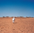 0005_aris-mocatelli