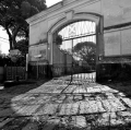 0011_garofalo-paola