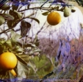 0003_bonanno-gaetano