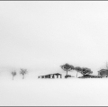 gabi_la-vecchia-fattoria