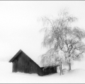gabi_nel-silenzio-invernale
