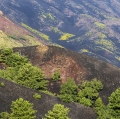 20150809_071_ETNA-Sartorius_60x40