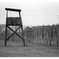 auschwitz003