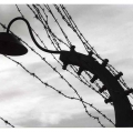 auschwitz006