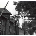 auschwitz007
