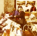 Pola_Sere_001