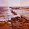 Pola_Sere_003