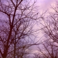 Pola_Sere_007