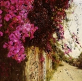 Pola_Sere_022