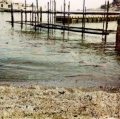 Pola_Sere_029