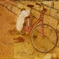 Pola_Sere_032