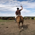 Sol de Mayo - El gaucho y la ganaderia di Gianluca Colonnese (7)