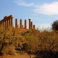 consiglio-gianfranco_agrigento