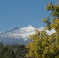 leonardi-gaetano_il-cuore-inesplorato-delletna